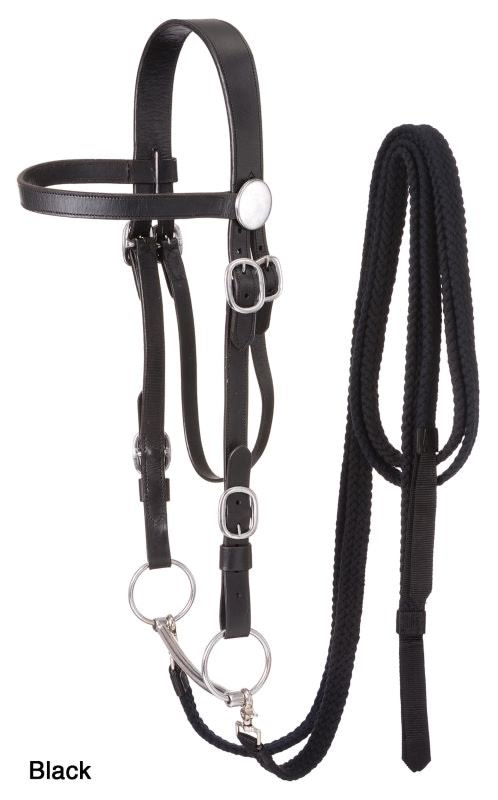 Royal King Draft Headstall Set