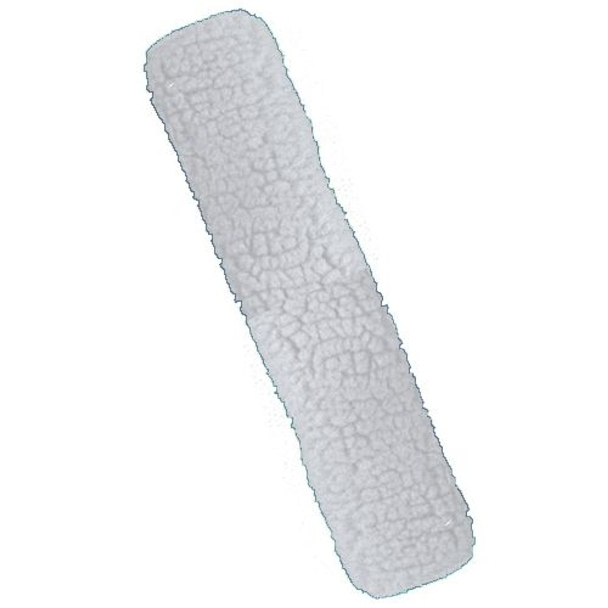 TE003904_246303.jpg