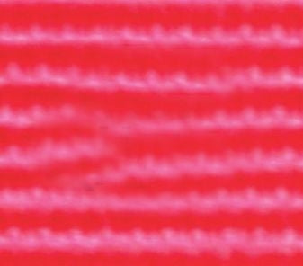 TE004872_257963.jpg