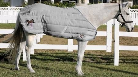 TuffRider Pony Stable Blanket