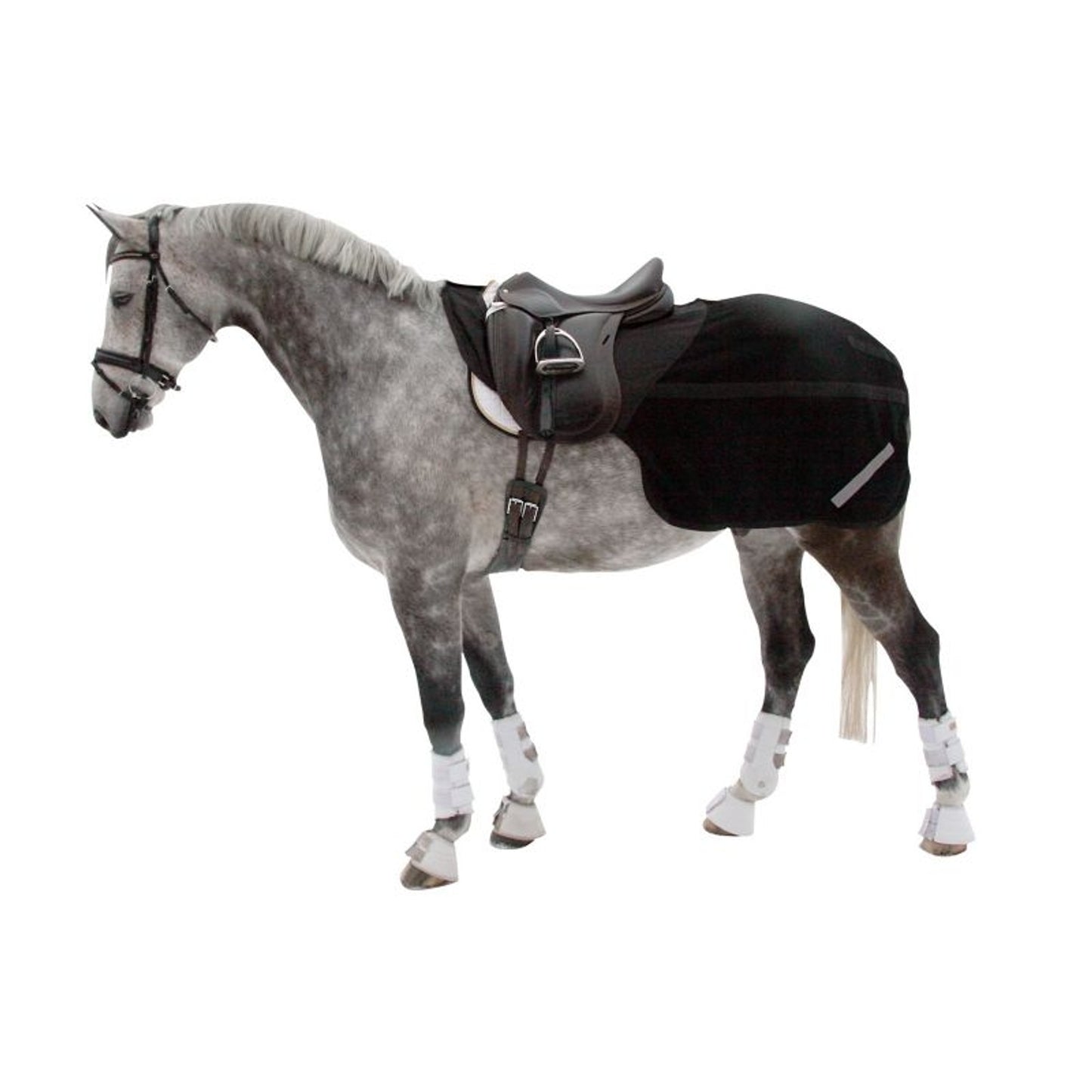TE005758_277316_Fleece_Exercise.jpg