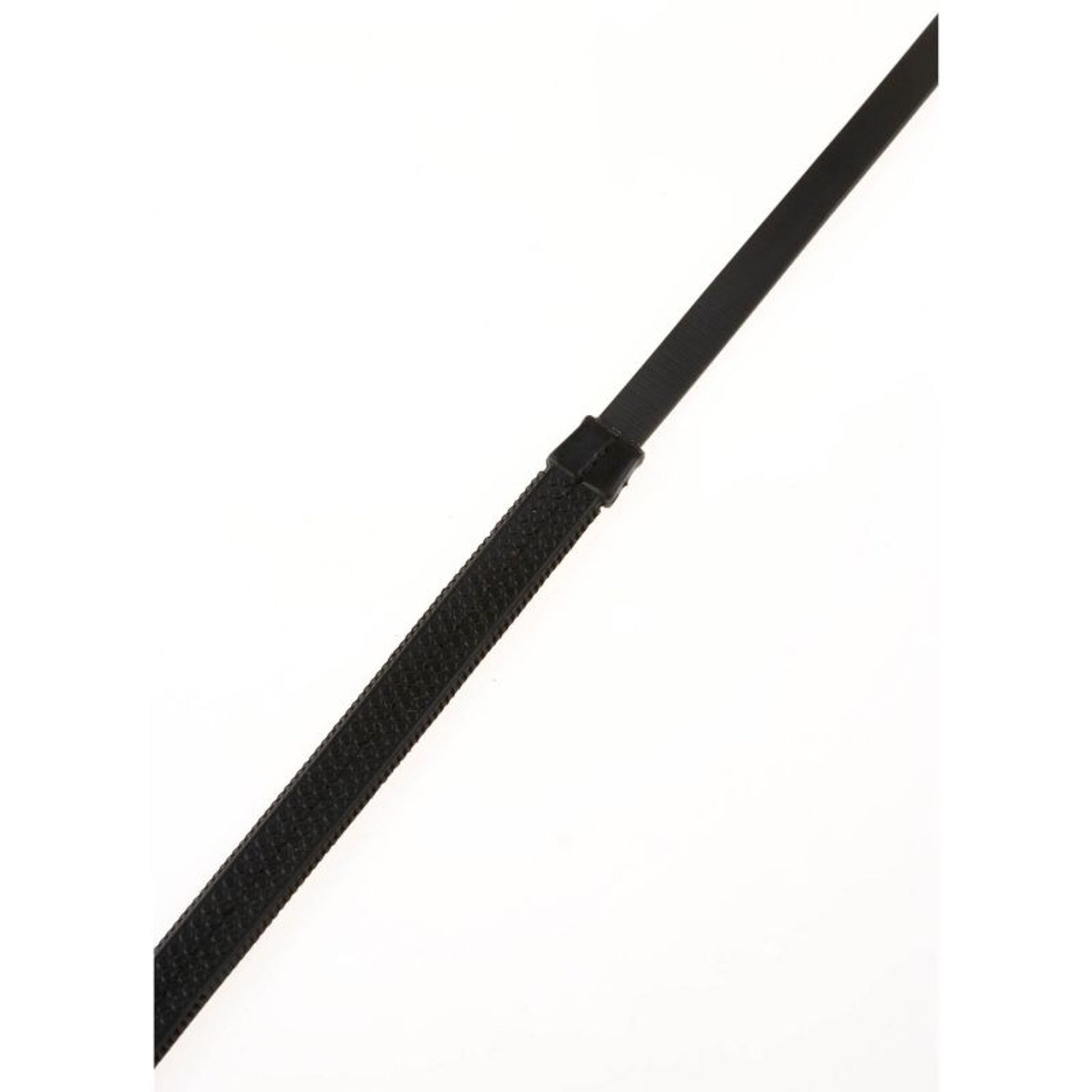 TE006315.jpg