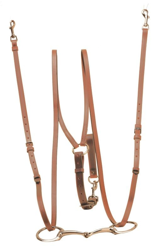 Tory Harness Leather Sliding Lunging Side Reins