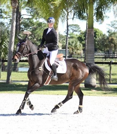 Equine Couture Ladies Ingate Show Coat