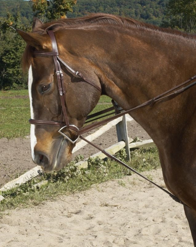 Ovation Cord Draw Reins