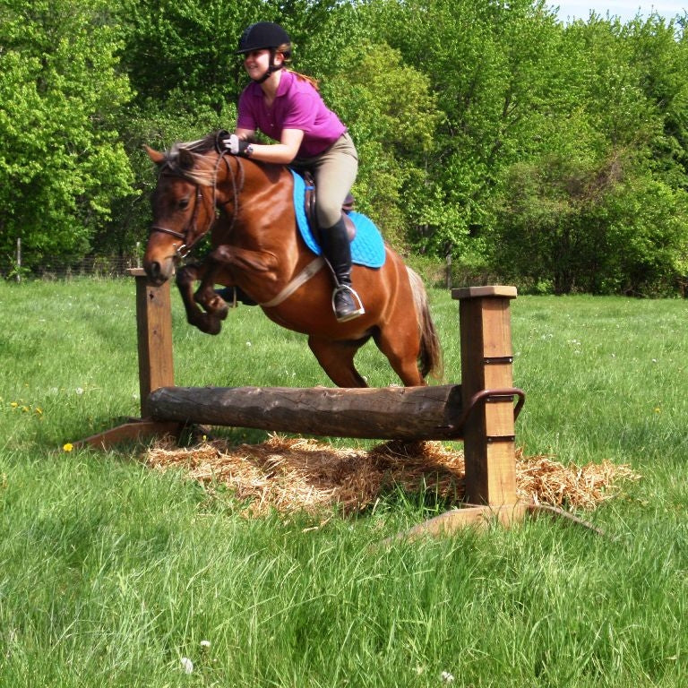 Field Jumps Timber Cups