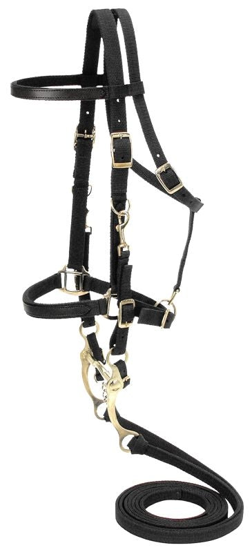 AO Collection Nylon Bridle/Halter Combination
