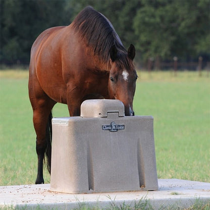 Classic Equine Ultra Fount