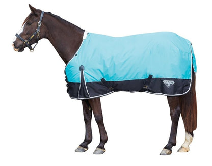 Saxon 600D Standard Neck Medium Weight
