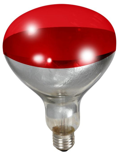 TE011776.jpg