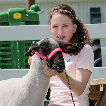 Adjustable Sheep Halter Graphite Hardware