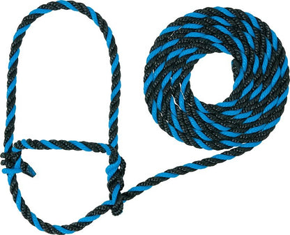 TE011878.jpg