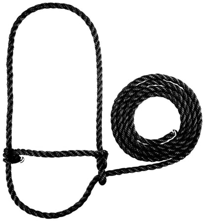 TE011878_430921_01.jpg