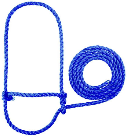 TE011878_430922_01.jpg