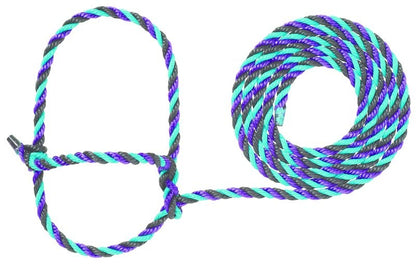 TE011878_588439_01.jpg