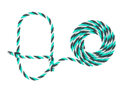 TE011878_766959_01.jpg