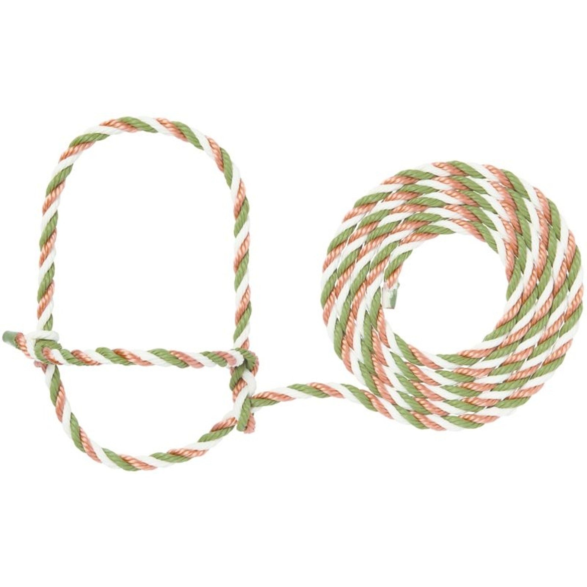 TE011878_919564_01.jpg