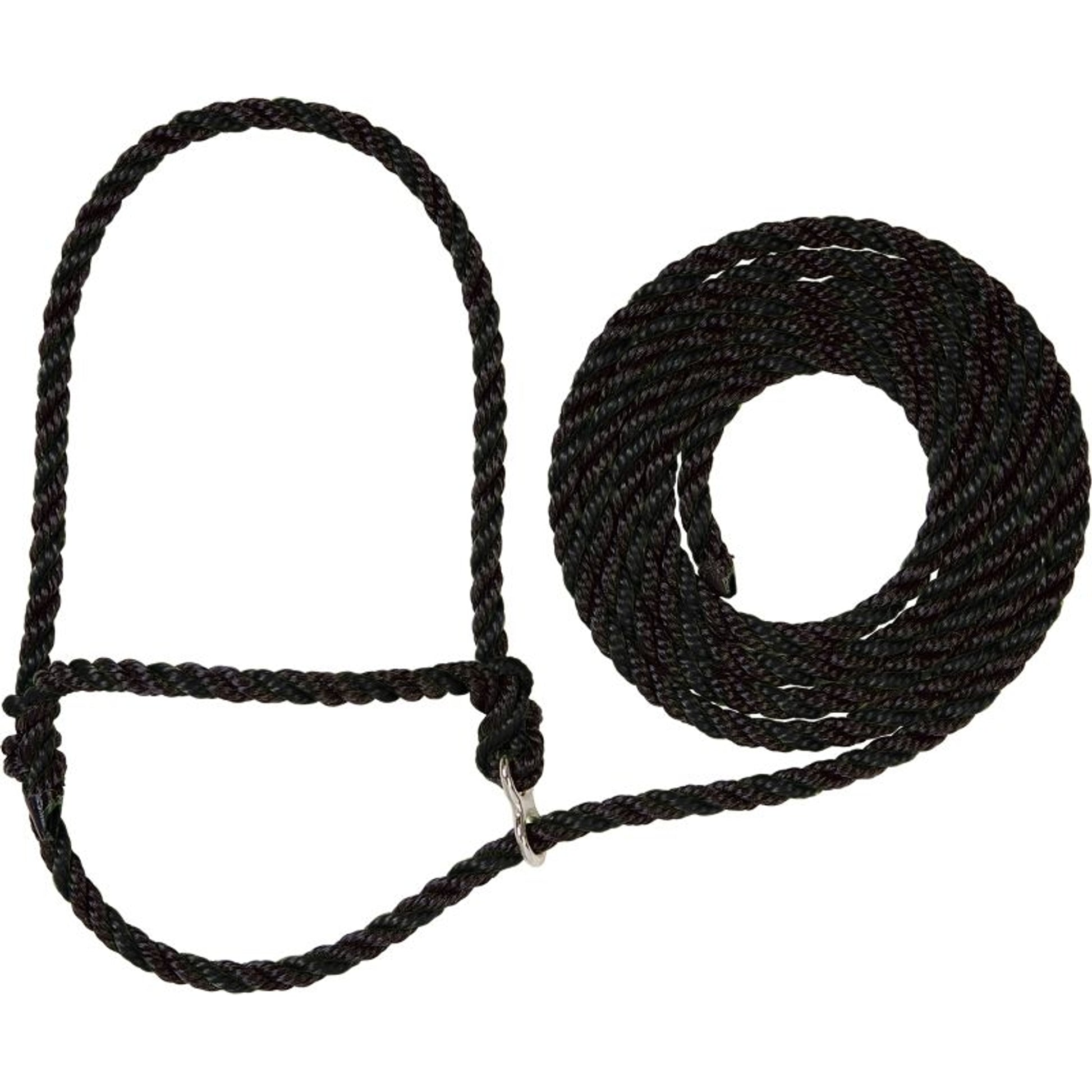 TE011879.jpg