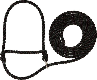 TE011879.jpg