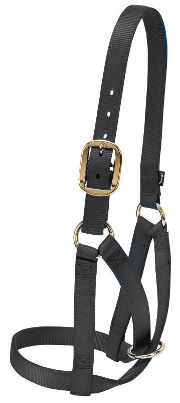 Weaver Leather Barn Cow Halter