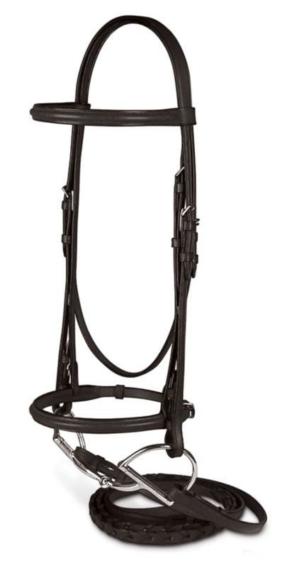 Passport Plain Raised Bridle