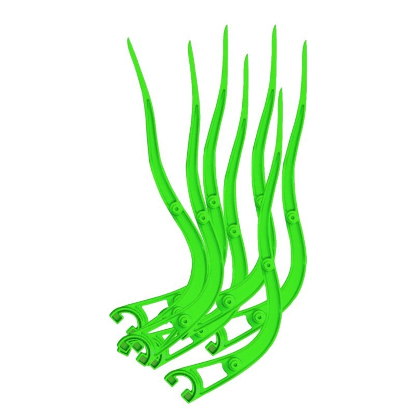 TE013501_01.jpg