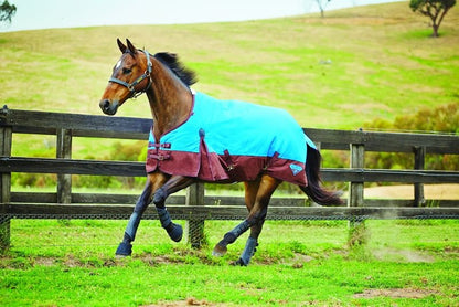 Saxon 1200D Standard Neck Turnout Blanket - Medium Weight