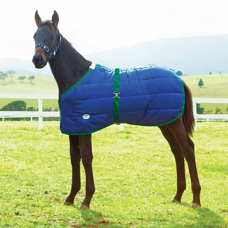 Weatherbeeta Newborn Foal Blanket