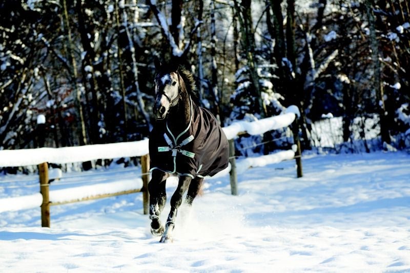 Amigo Bravo 12 Wug Medium 250g Turnout Blanket