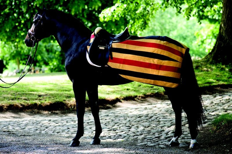 Horseware Rambo Newmarket Exercise