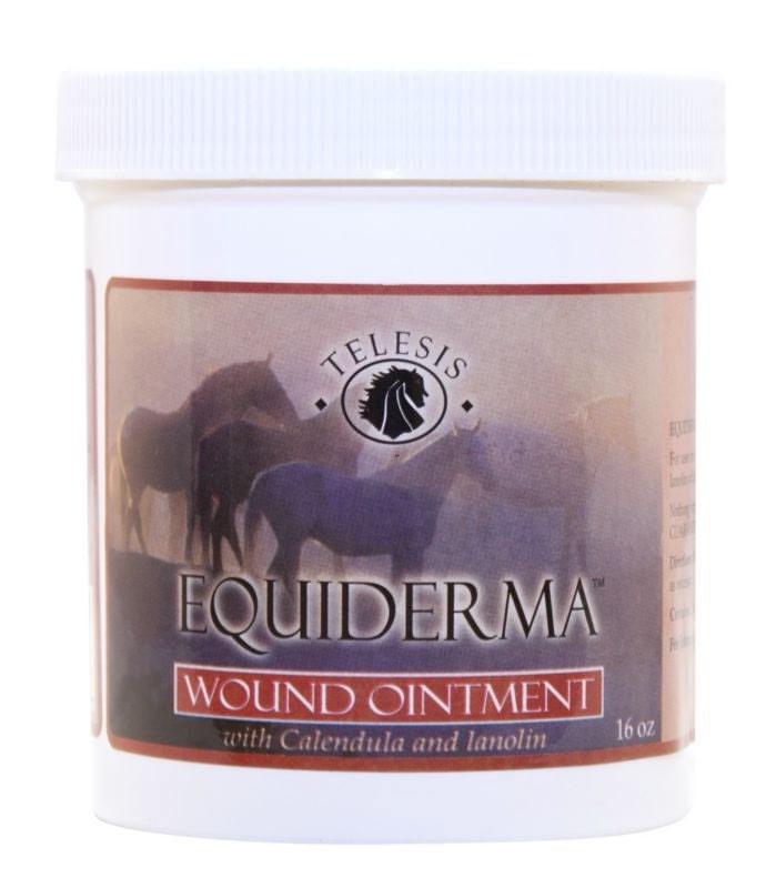 Equiderma Wound Ointment