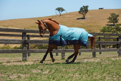 Saxon 1200D Standard Neck Turnout Blanket - Medium Weight