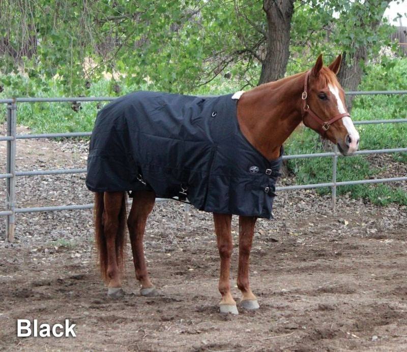 Professionals Choice 1200D Winter Blanket