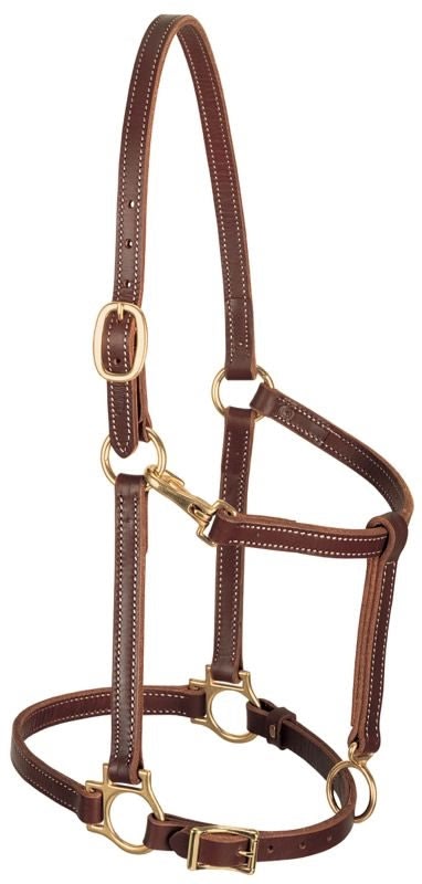 Weaver Track Halter Horse