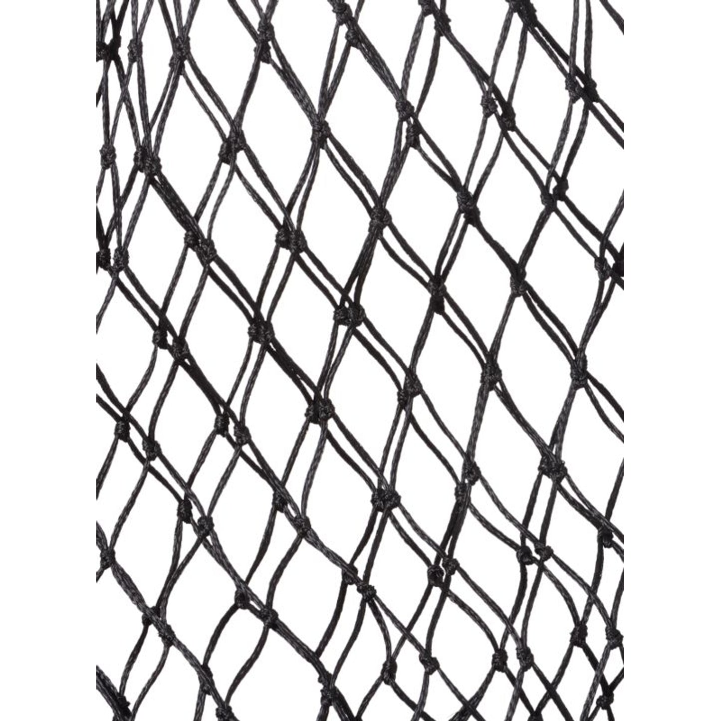 TE015626_474834_01.jpg