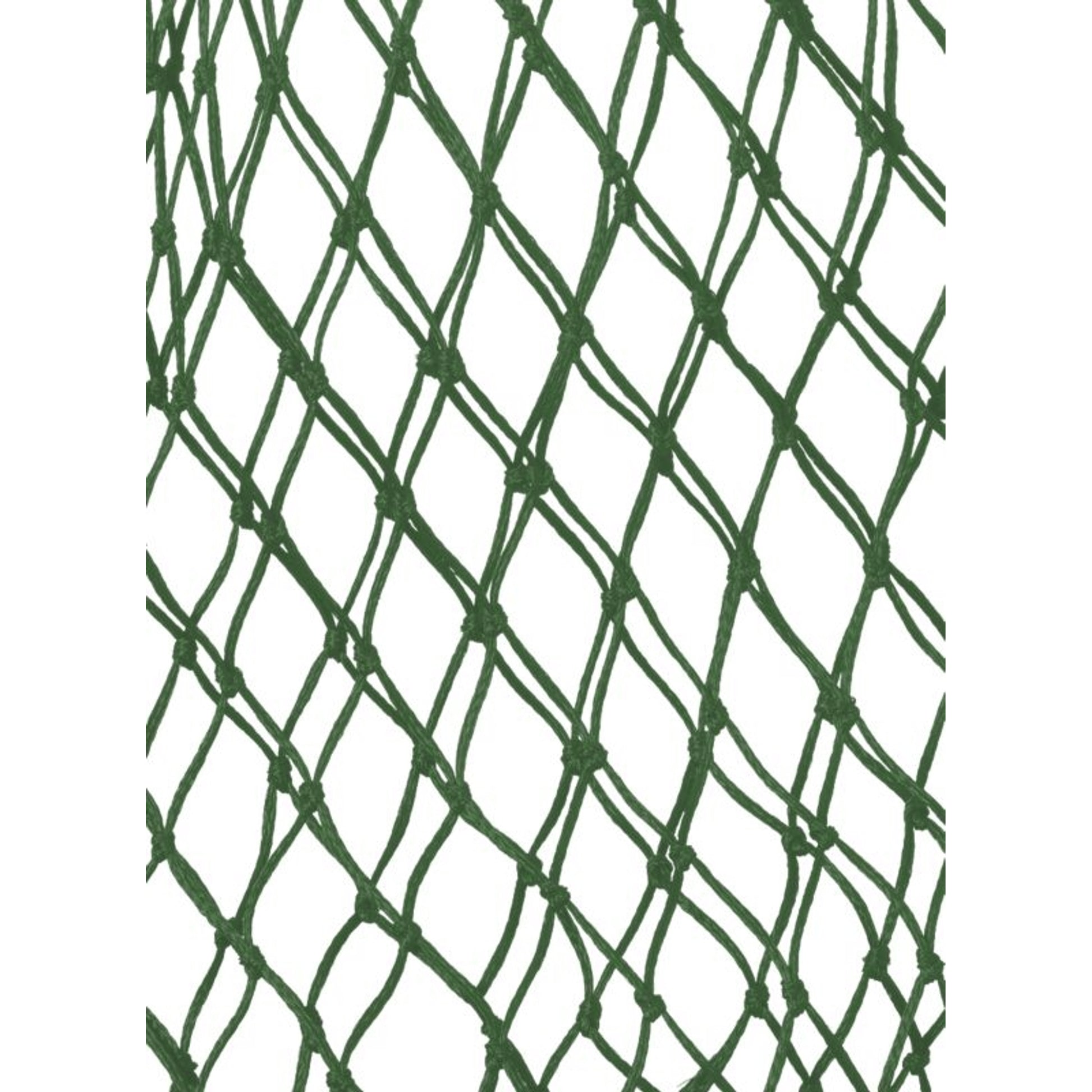 TE015626_474836_01.jpg
