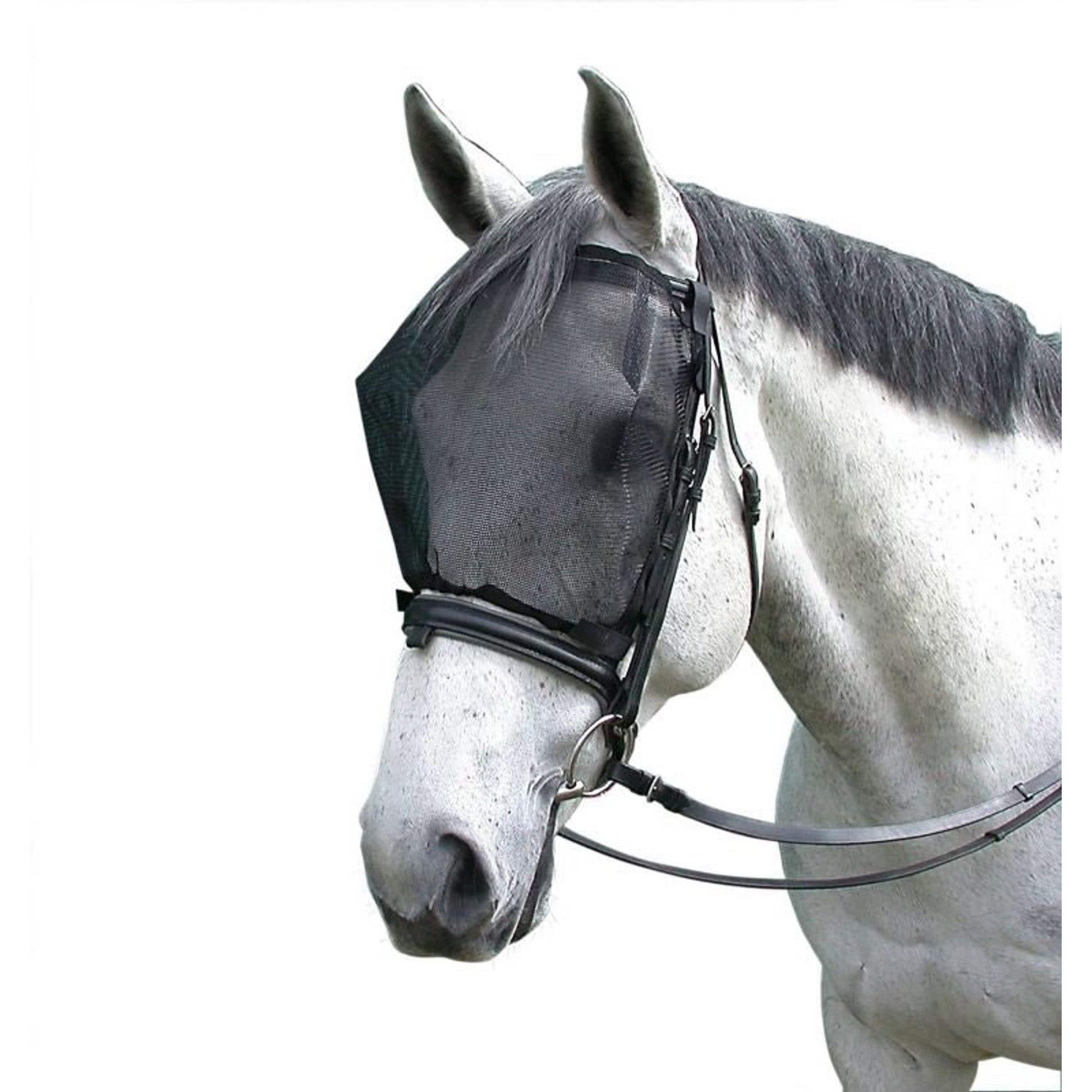 Cavallo Simple Ride Mask without Ears