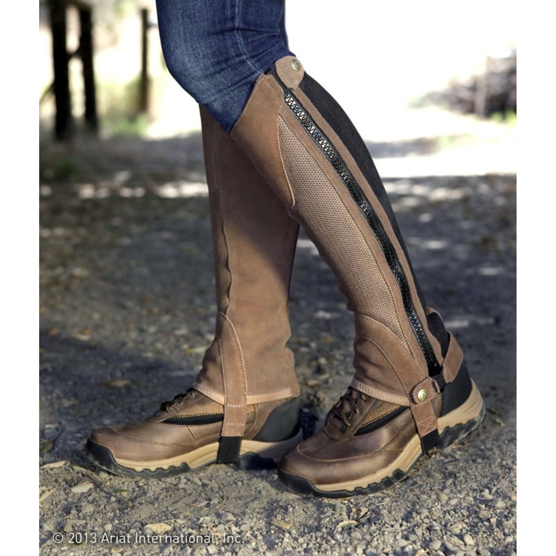 Ariat Adult Terrain II Half Chaps