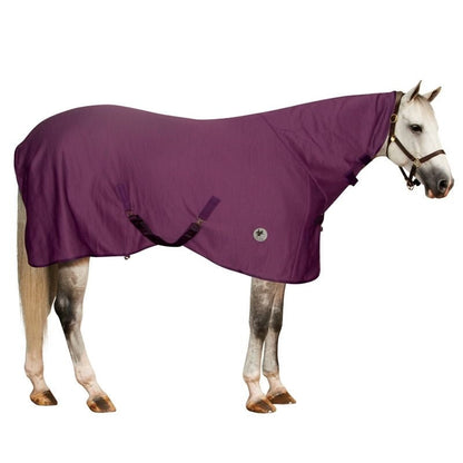 Centaur Turbo-Dry Cooler with Neck