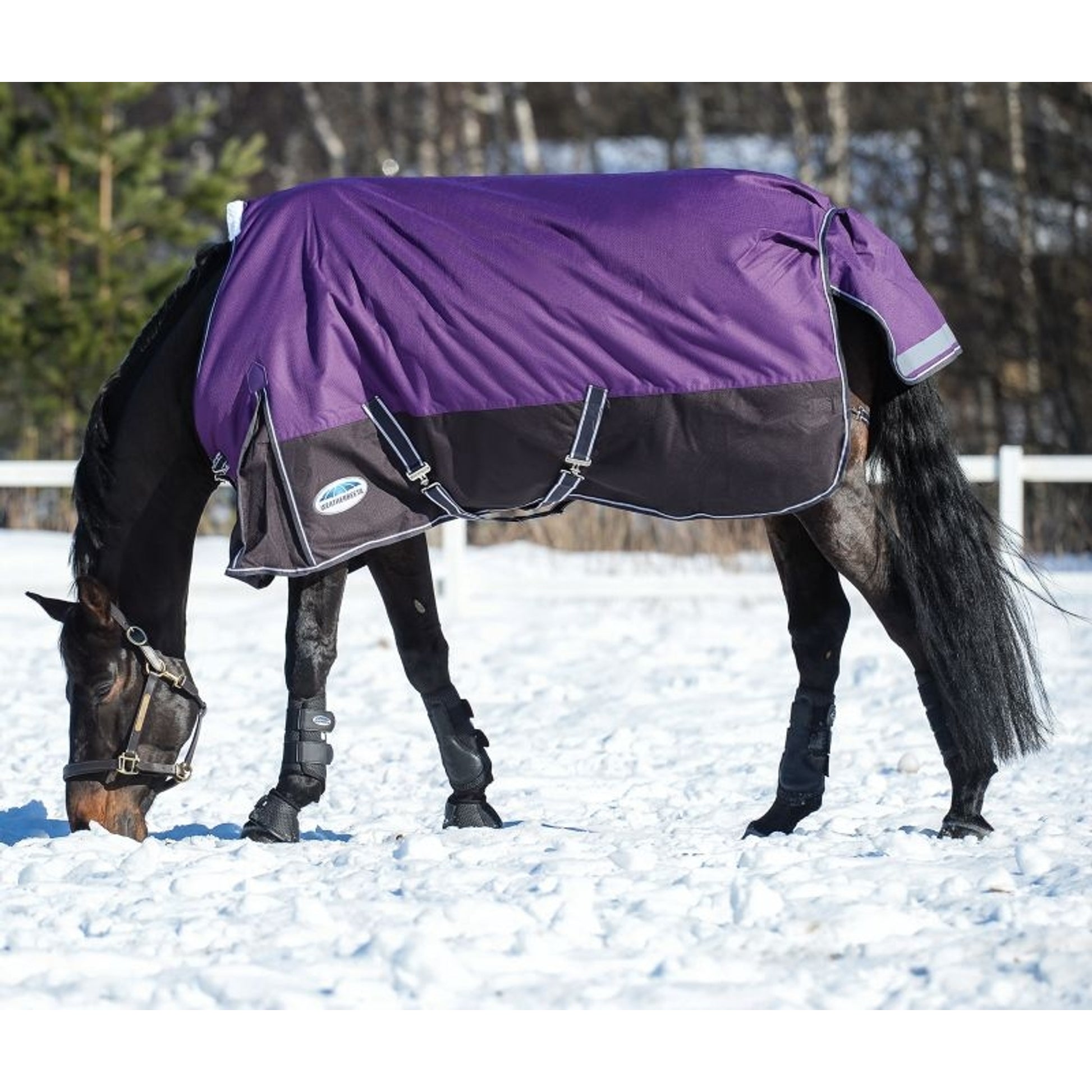 Weatherbeeta Comfitec Plus Dynamic Standard Neck