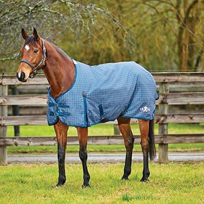 Saxon 600D Standard Medium Blanket