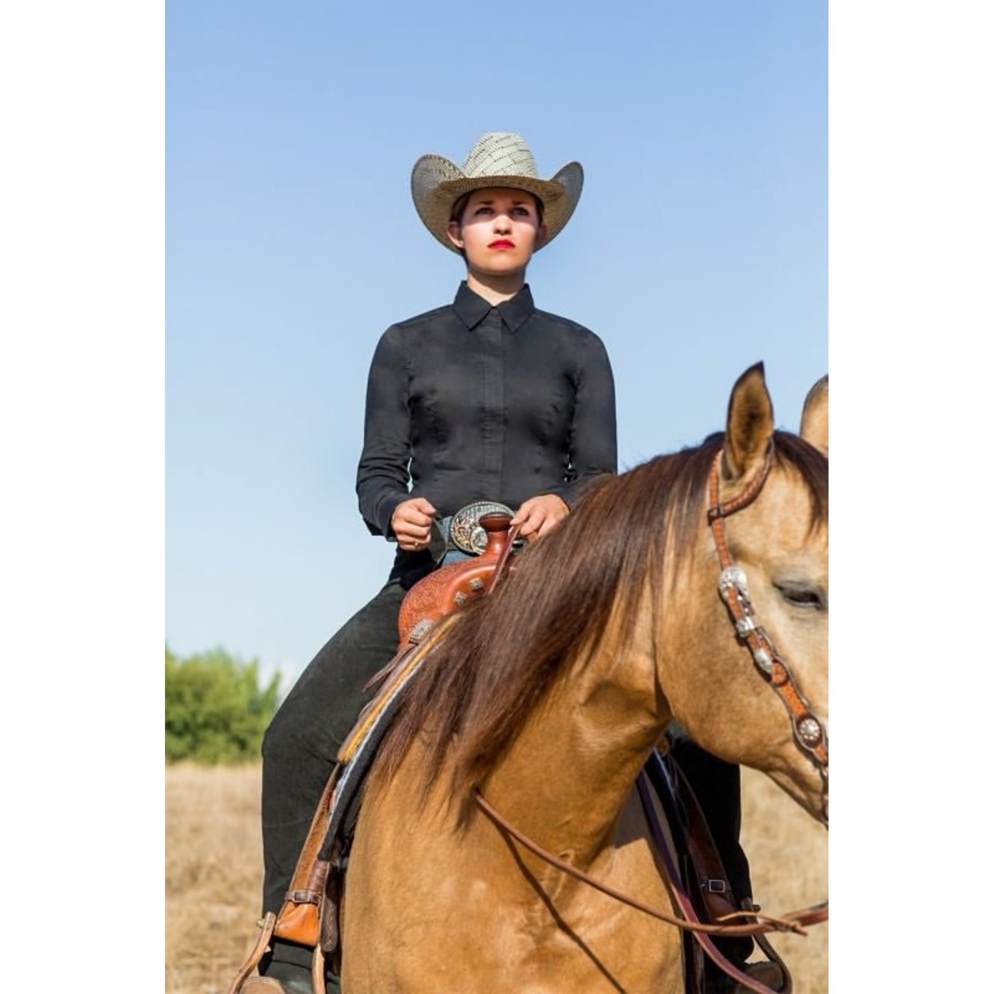 Noble Equestrian Ladies Perfect Fit Show Shirt