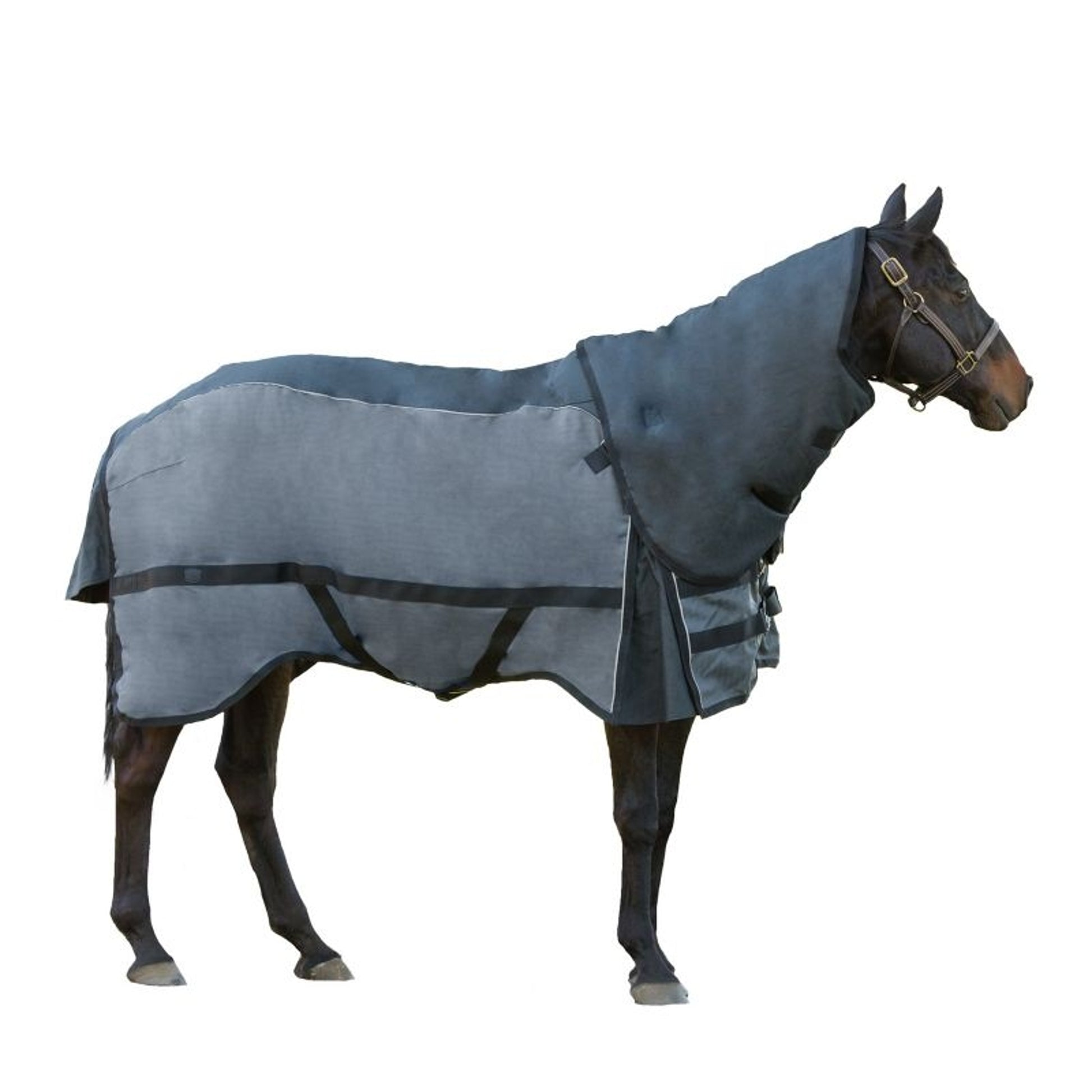 FREE $50 Neck Cover With Purchase of Noble Equestr