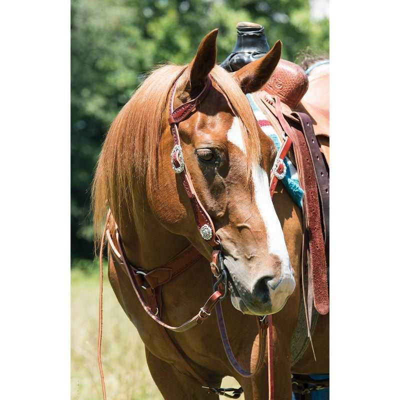 Weaver Filigree Breast Collar