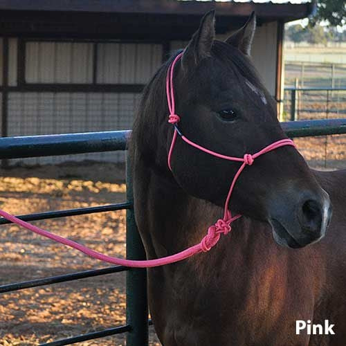 Cashel Charity Rope Halter
