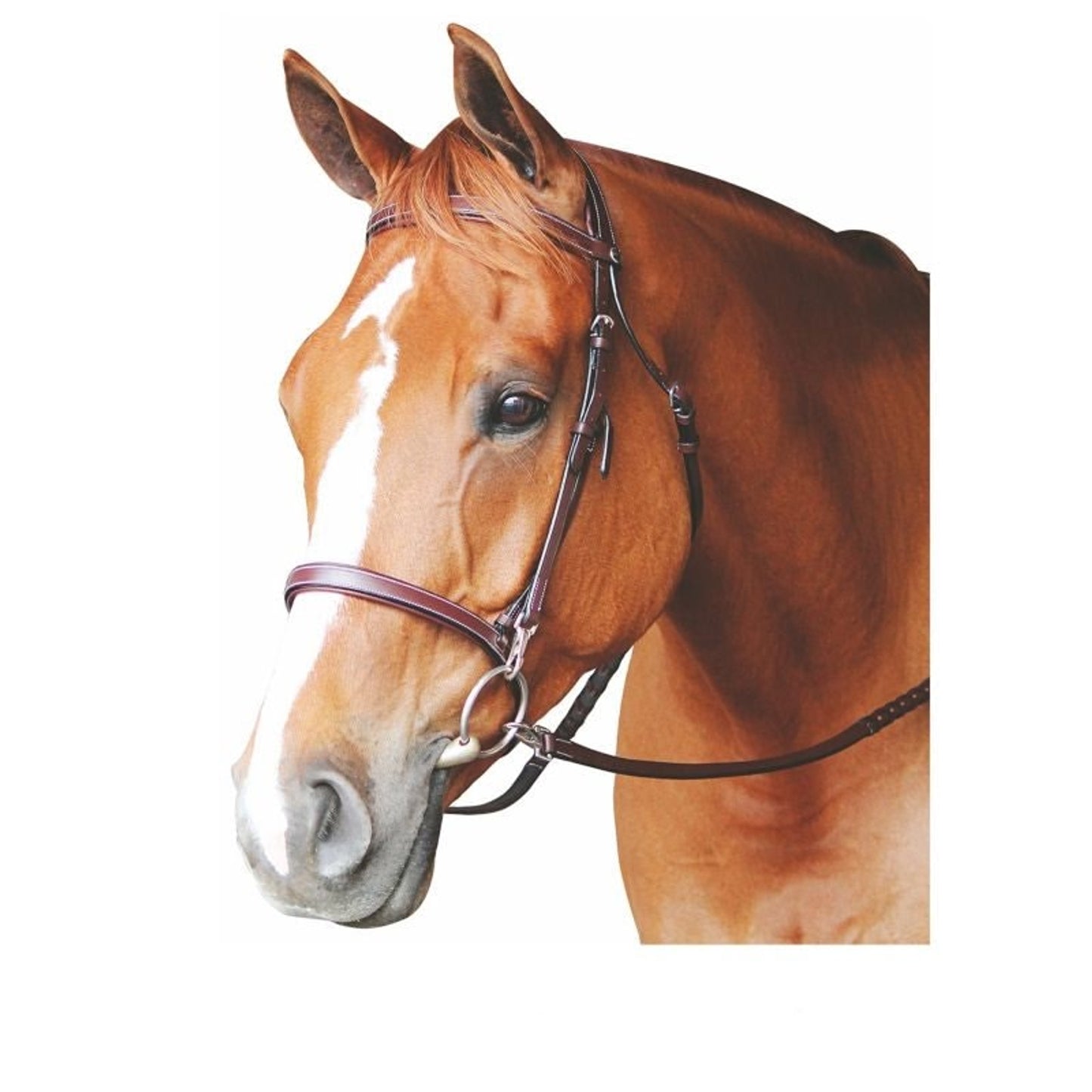 TE017543.jpg