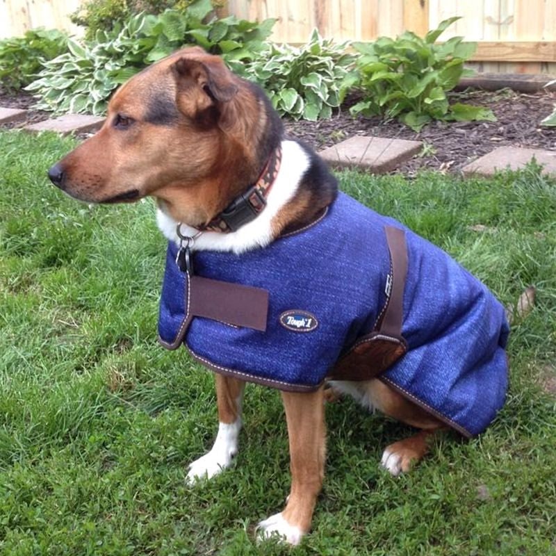Tough1 1200D Dog Blanket American Legend Denim