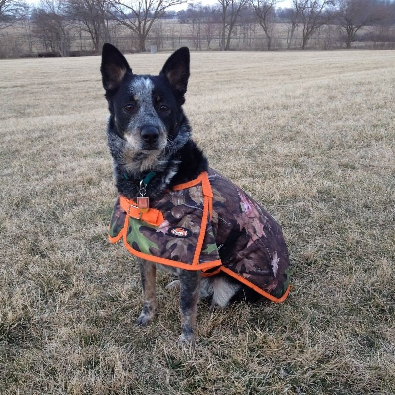 Tough1 600D Dog Blanket Prints