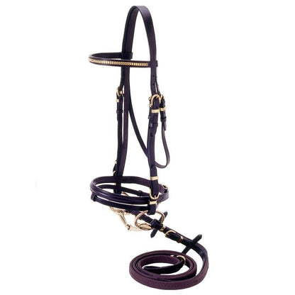 Silver Fox Flash Bridle with Brass Browband