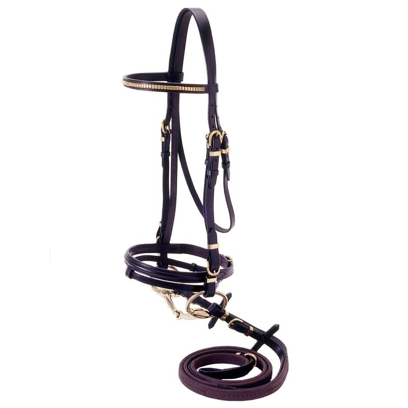 Silver Fox Flash Bridle with Brass Browband
